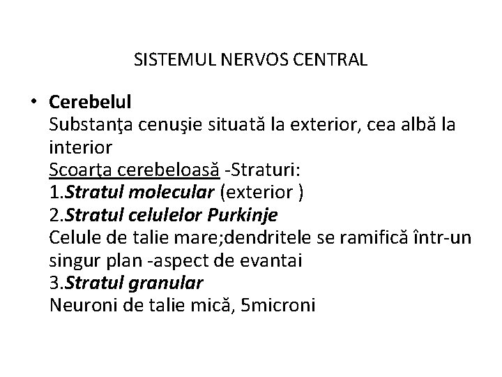 SISTEMUL NERVOS CENTRAL • Cerebelul Substanţa cenuşie situată la exterior, cea albă la interior