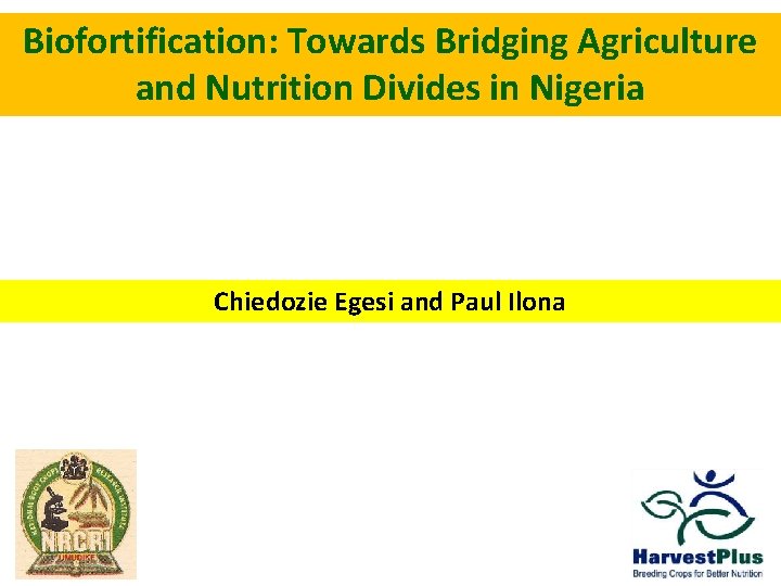 Biofortification: Towards Bridging Agriculture and Nutrition Divides in Nigeria Chiedozie Egesi and Paul Ilona