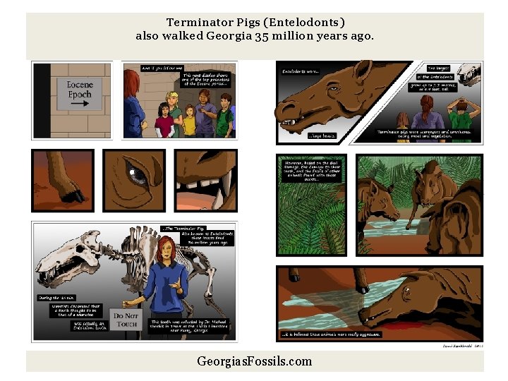 Terminator Pigs (Entelodonts) also walked Georgia 35 million years ago. Georgias. Fossils. com 