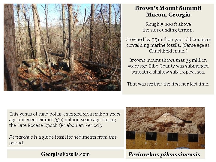 Brown’s Mount Summit Macon, Georgia Roughly 200 ft above the surrounding terrain. Crowned by