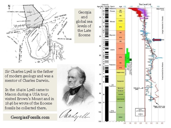Georgia and global sea levels of the Late Eocene Sir Charles Lyell is the