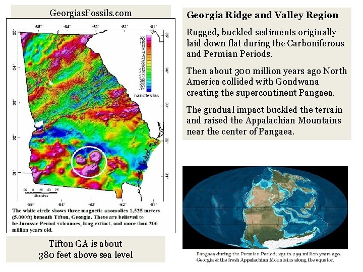 Georgias. Fossils. com Georgia Ridge and Valley Region Rugged, buckled sediments originally laid down