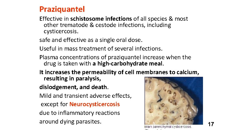 Praziquantel Effective in schistosome infections of all species & most other trematode & cestode