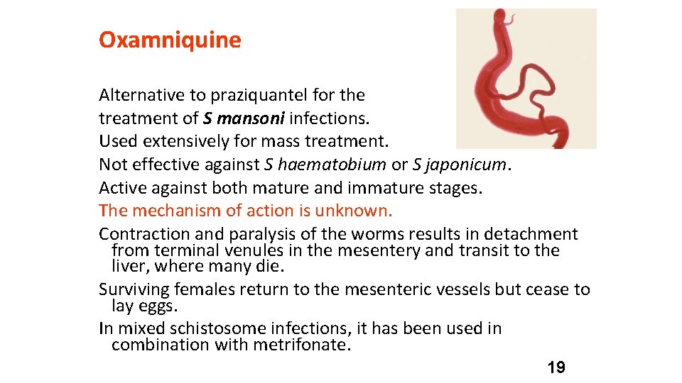 Oxamniquine Alternative to praziquantel for the treatment of S mansoni infections. Used extensively for