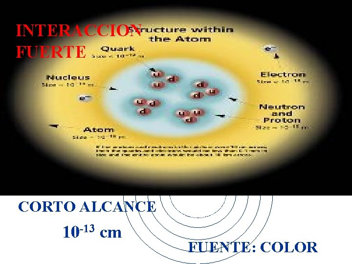 INTERACCION FUERTE CORTO ALCANCE 10 -13 cm FUENTE: COLOR 