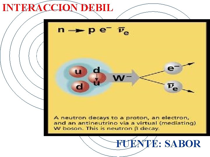 INTERACCION DEBIL FUENTE: SABOR 