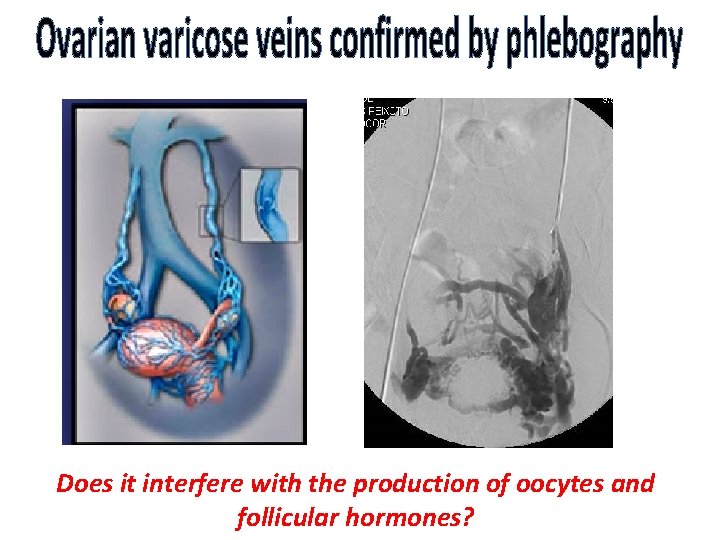 Does it interfere with the production of oocytes and follicular hormones? 