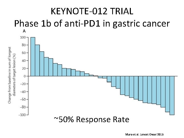 KEYNOTE-012 TRIAL Phase 1 b of anti-PD 1 in gastric cancer ~50% Response Rate