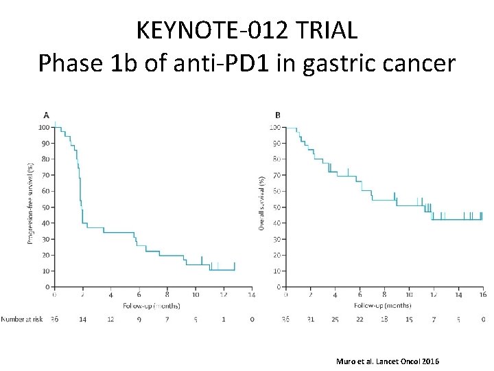 KEYNOTE-012 TRIAL Phase 1 b of anti-PD 1 in gastric cancer Muro et al.