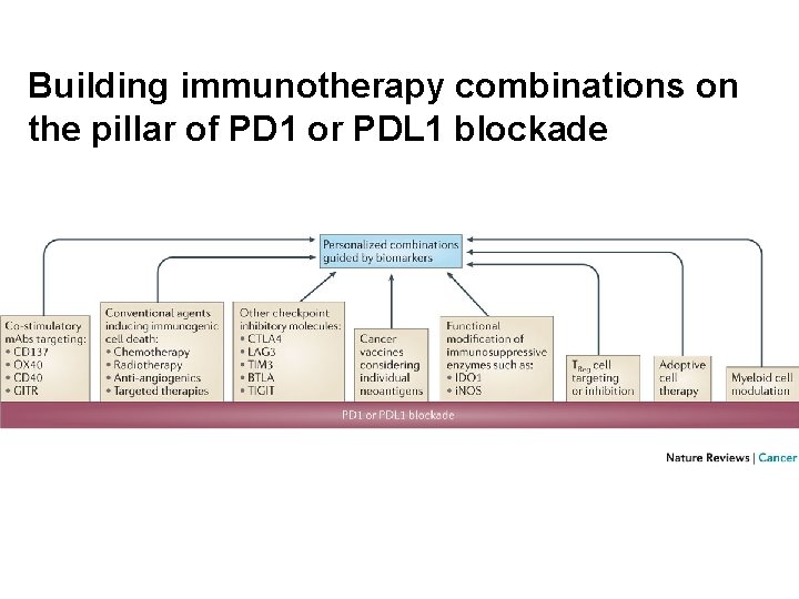 Building immunotherapy combinations on the pillar of PD 1 or PDL 1 blockade 