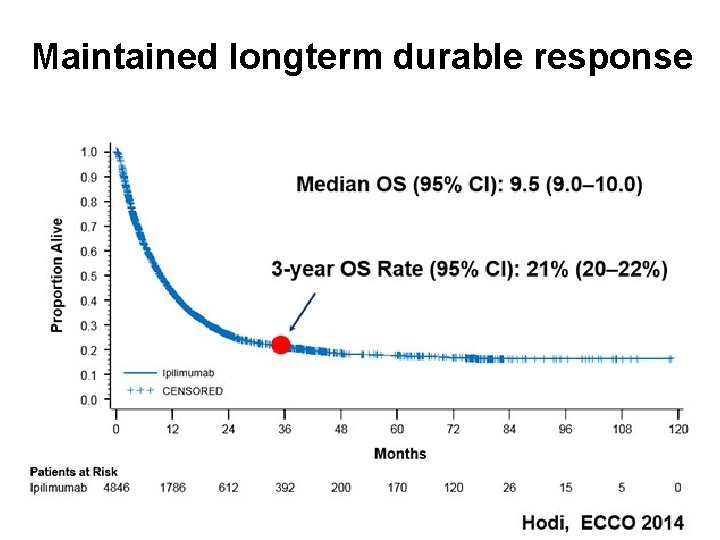 Maintained longterm durable response Immunotherapy: what is it and how does it work? 