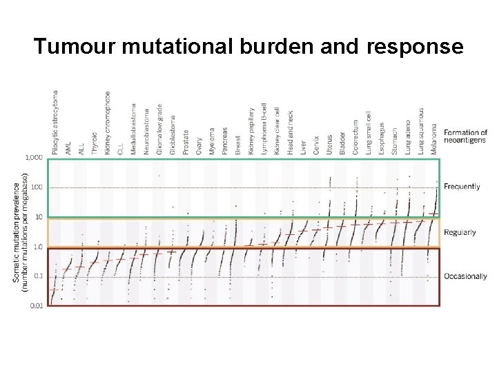 Tumour mutational burden and response 