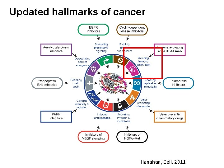 Updated hallmarks of cancer Hanahan, Cell, 2011 