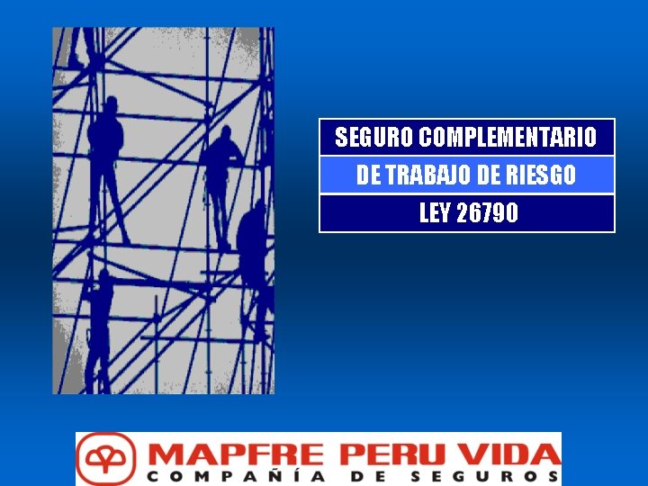 SEGURO COMPLEMENTARIO DE TRABAJO DE RIESGO LEY 26790 