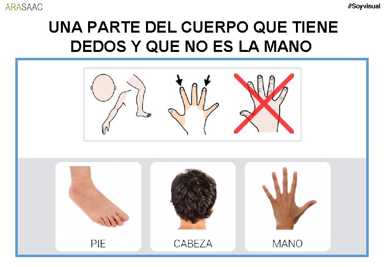 UNA PARTE DEL CUERPO QUE TIENE DEDOS Y QUE NO ES LA MANO 