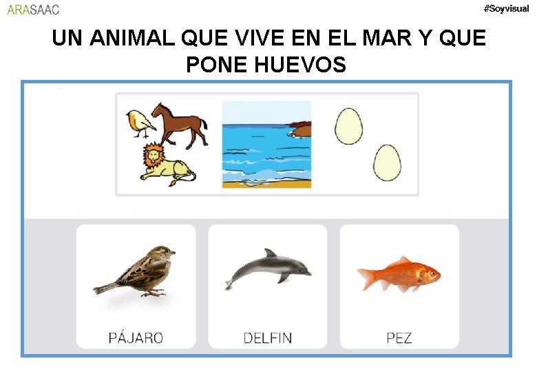 UN ANIMAL QUE VIVE EN EL MAR Y QUE PONE HUEVOS 
