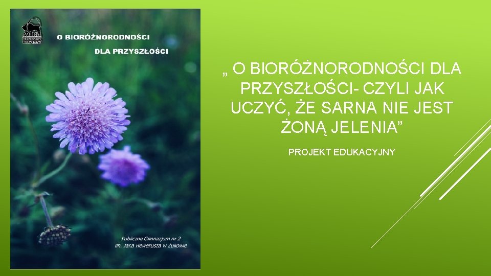 „ O BIORÓŻNORODNOŚCI DLA PRZYSZŁOŚCI- CZYLI JAK UCZYĆ, ŻE SARNA NIE JEST ŻONĄ JELENIA”