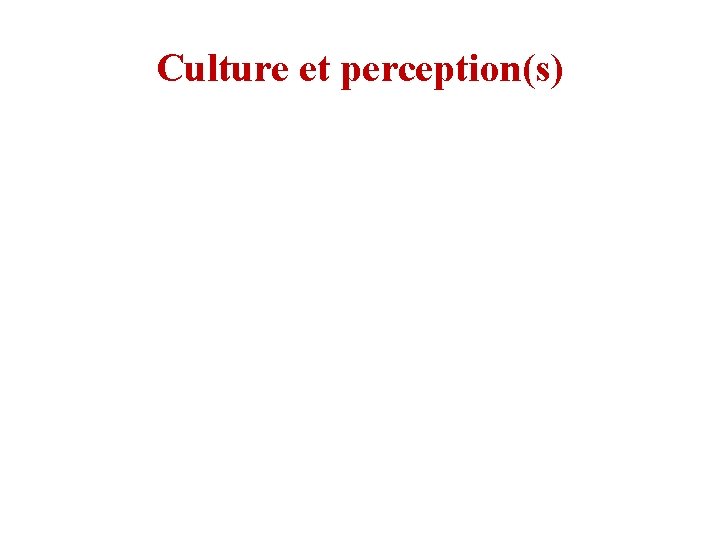 Culture et perception(s) 