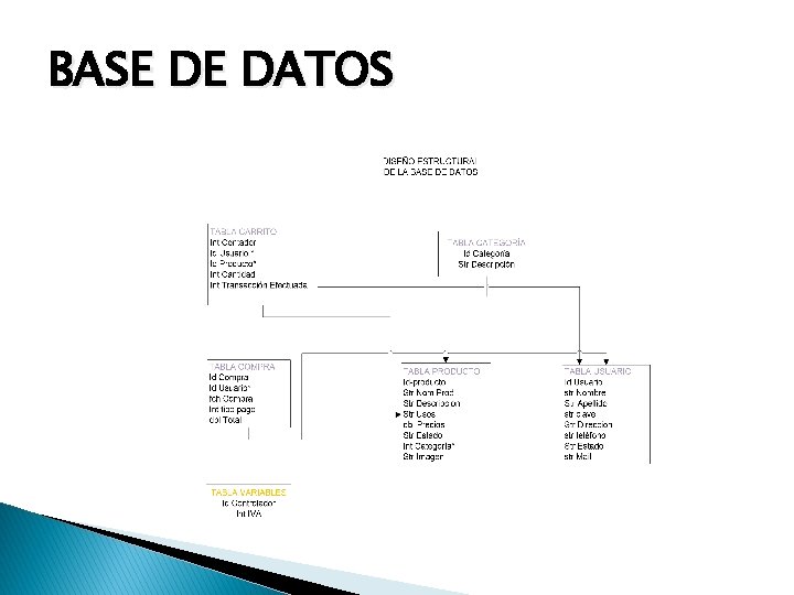 BASE DE DATOS 