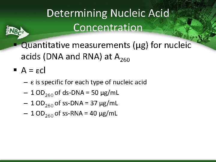 Determining Nucleic Acid Concentration § Quantitative measurements (µg) for nucleic acids (DNA and RNA)