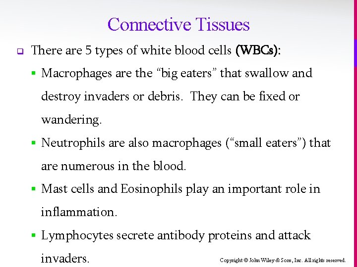 Connective Tissues q There are 5 types of white blood cells (WBCs): § Macrophages