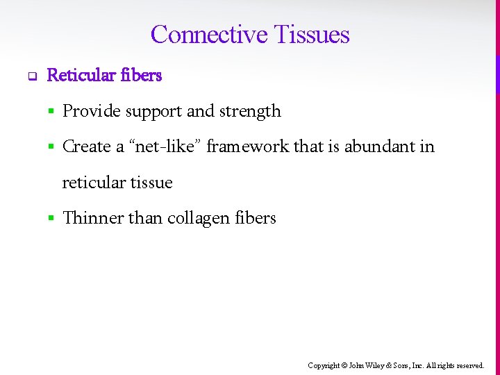 Connective Tissues q Reticular fibers § Provide support and strength § Create a “net-like”