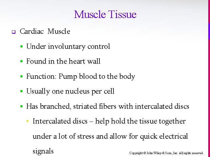 Muscle Tissue q Cardiac Muscle § Under involuntary control § Found in the heart