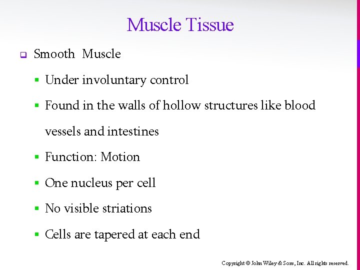 Muscle Tissue q Smooth Muscle § Under involuntary control § Found in the walls