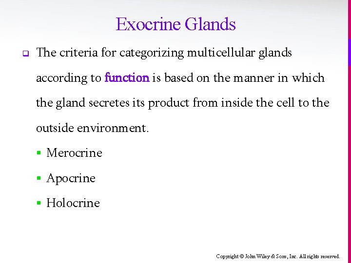 Exocrine Glands q The criteria for categorizing multicellular glands according to function is based