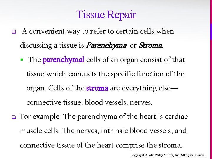 Tissue Repair q A convenient way to refer to certain cells when discussing a