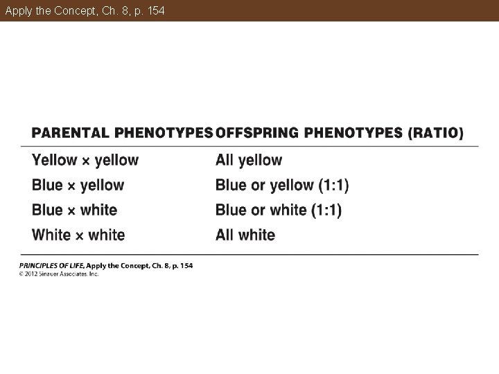 Apply the Concept, Ch. 8, p. 154 