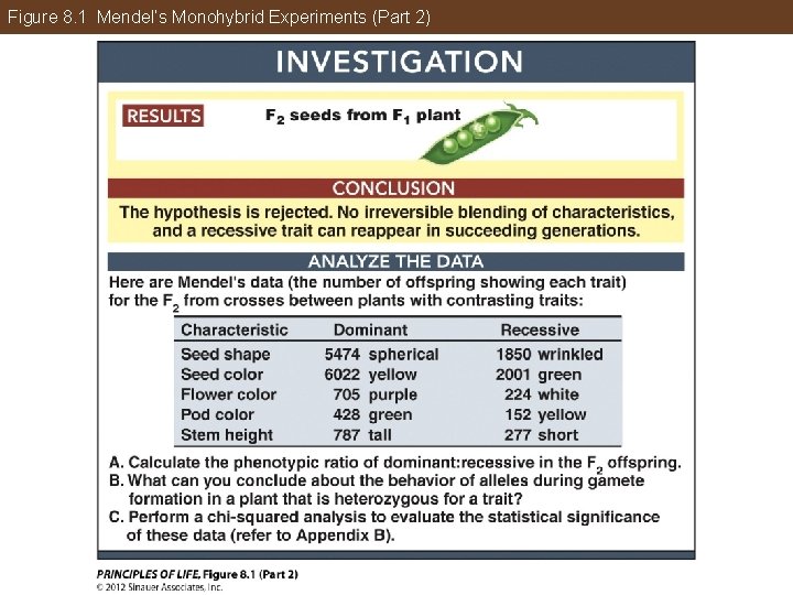 Figure 8. 1 Mendel’s Monohybrid Experiments (Part 2) 