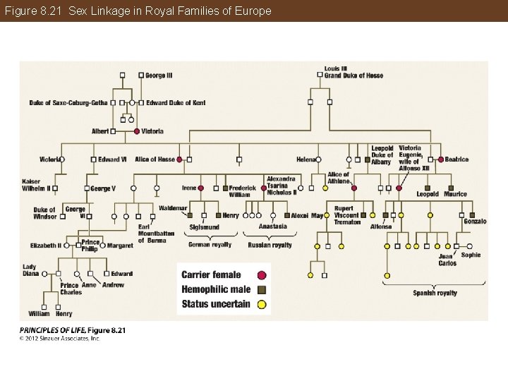 Figure 8. 21 Sex Linkage in Royal Families of Europe 
