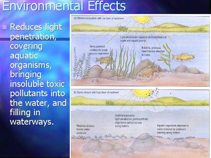 Environmental Effects n Reduces light penetration, covering aquatic organisms, bringing insoluble toxic pollutants into