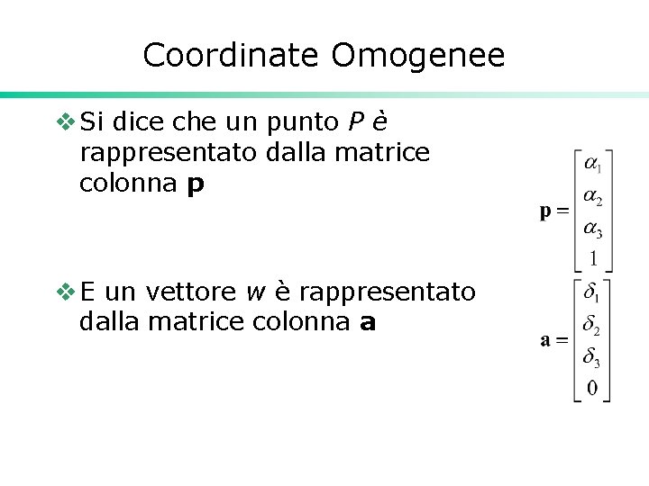 Coordinate Omogenee v Si dice che un punto P è rappresentato dalla matrice colonna