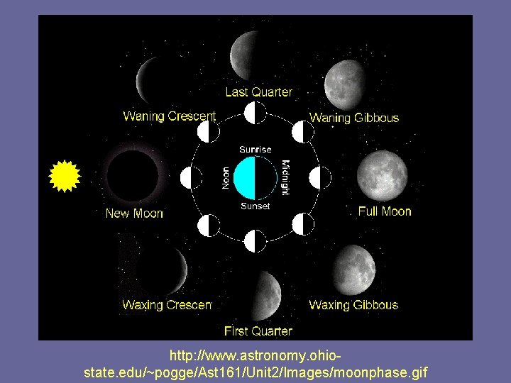 http: //www. astronomy. ohiostate. edu/~pogge/Ast 161/Unit 2/Images/moonphase. gif 