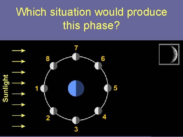 Which situation would produce this phase? 