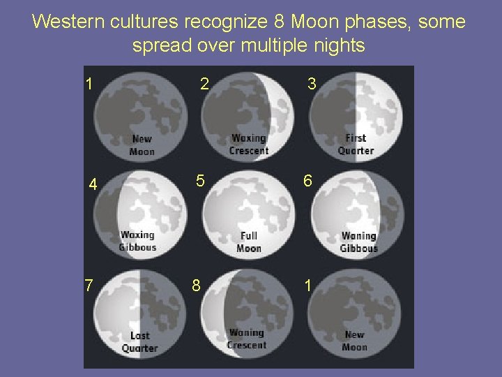 Western cultures recognize 8 Moon phases, some spread over multiple nights 1 2 3