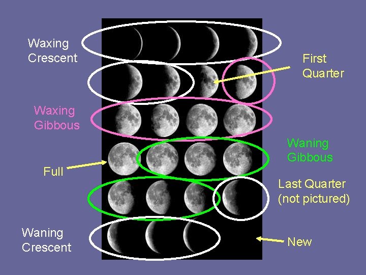 Waxing Crescent First Quarter Waxing Gibbous Waning Gibbous Full Waning Crescent Last Quarter (not