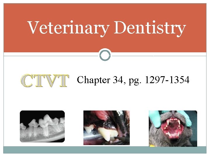 Veterinary Dentistry CTVT Chapter 34, pg. 1297 -1354 