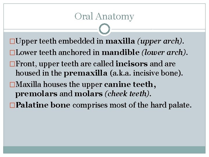 Oral Anatomy �Upper teeth embedded in maxilla (upper arch). �Lower teeth anchored in mandible