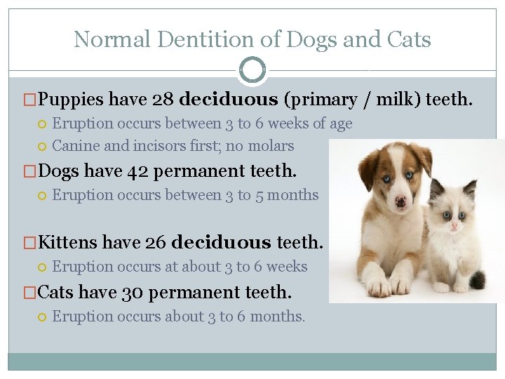 Normal Dentition of Dogs and Cats �Puppies have 28 deciduous (primary / milk) teeth.