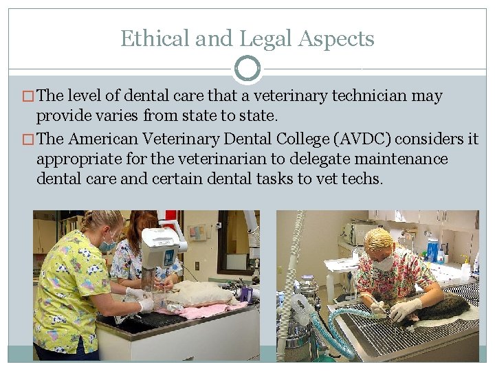 Ethical and Legal Aspects � The level of dental care that a veterinary technician