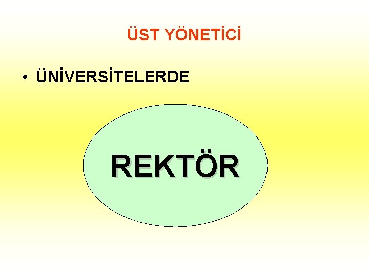 ÜST YÖNETİCİ • ÜNİVERSİTELERDE REKTÖR 