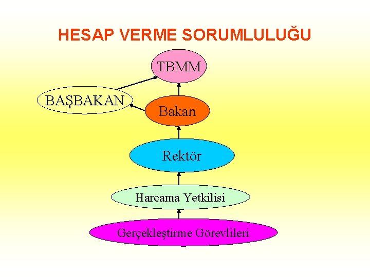 HESAP VERME SORUMLULUĞU TBMM BAŞBAKAN Bakan Rektör Harcama Yetkilisi Gerçekleştirme Görevlileri 