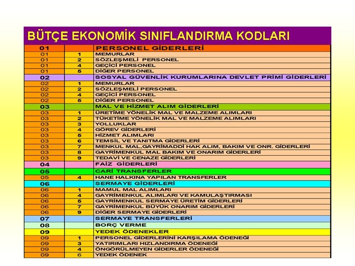 BÜTÇE EKONOMİK SINIFLANDIRMA KODLARI 