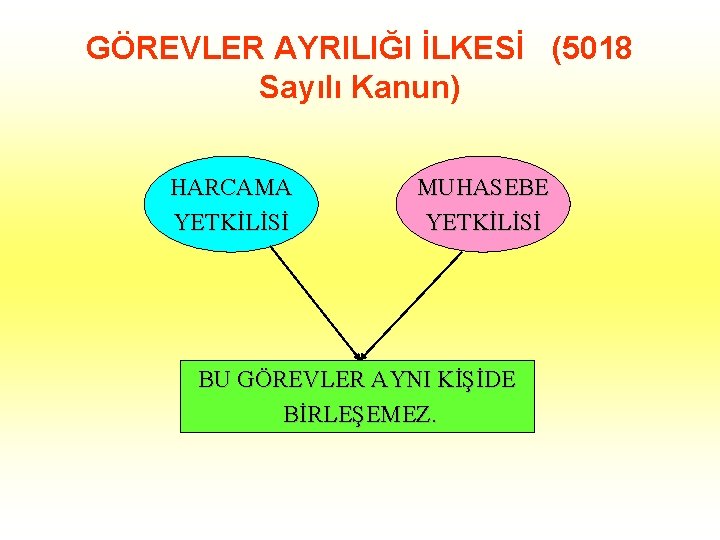 GÖREVLER AYRILIĞI İLKESİ (5018 Sayılı Kanun) HARCAMA YETKİLİSİ MUHASEBE YETKİLİSİ BU GÖREVLER AYNI KİŞİDE