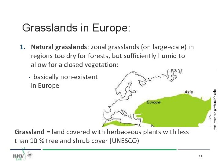 Grasslands in Europe: 1. Natural grasslands: zonal grasslands (on large-scale) in regions too dry