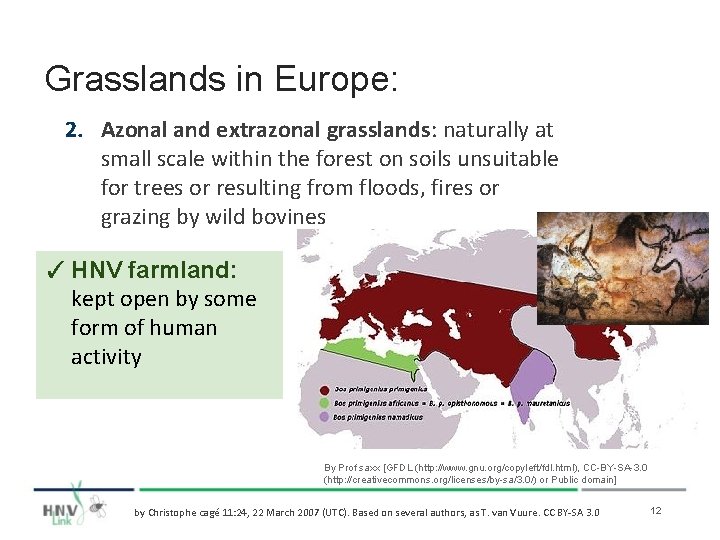 Grasslands in Europe: 2. Azonal and extrazonal grasslands: naturally at small scale within the
