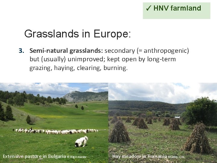 ✓ HNV farmland Grasslands in Europe: 3. Semi-natural grasslands: secondary (= anthropogenic) but (usually)